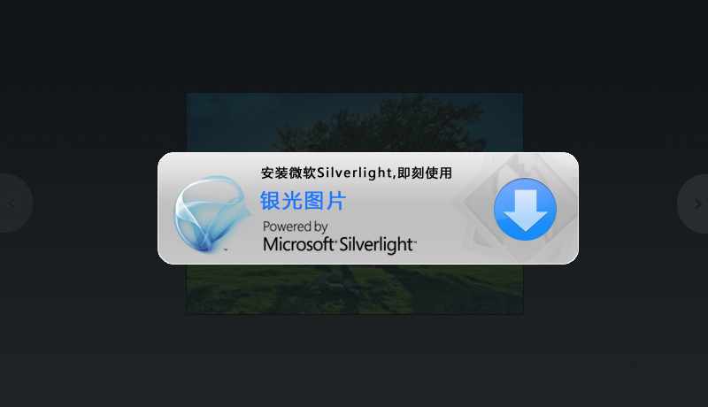 安装微软Silverlight控件,即刻使用帖图浏览功能
